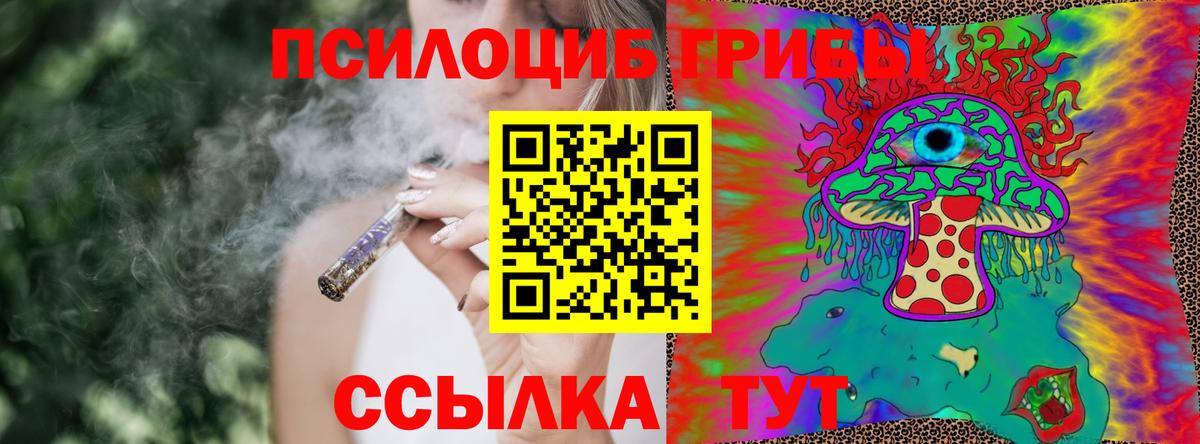 Галлюциногенные грибы Psilocybine cubensis Борисоглебск