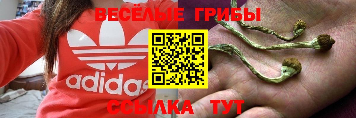 Псилоцибиновые грибы GOLDEN TEACHER  Вход с VPN  Галлюциногенные грибы GOLDEN TEACHER  Борисоглебск 